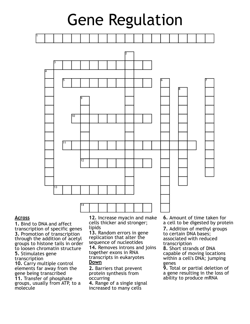 Gene Regulation Crossword