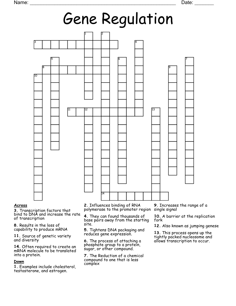 Gene Regulation Crossword
