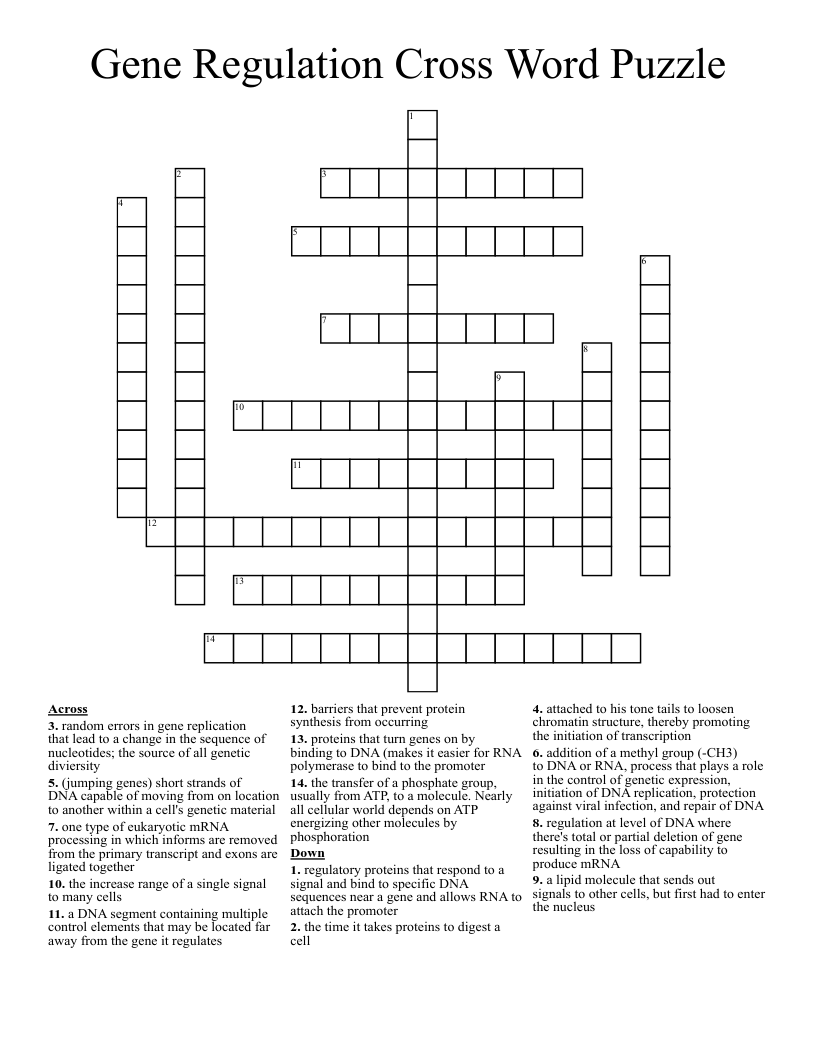Gene Regulation Cross Word Puzzle 