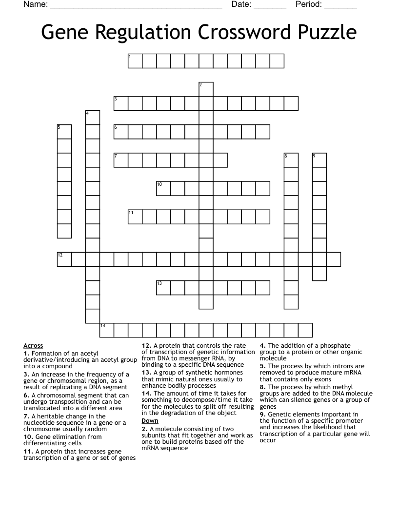 Gene Regulation Crossword Puzzle