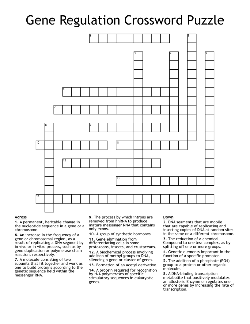 Gene Regulation Crossword Puzzle