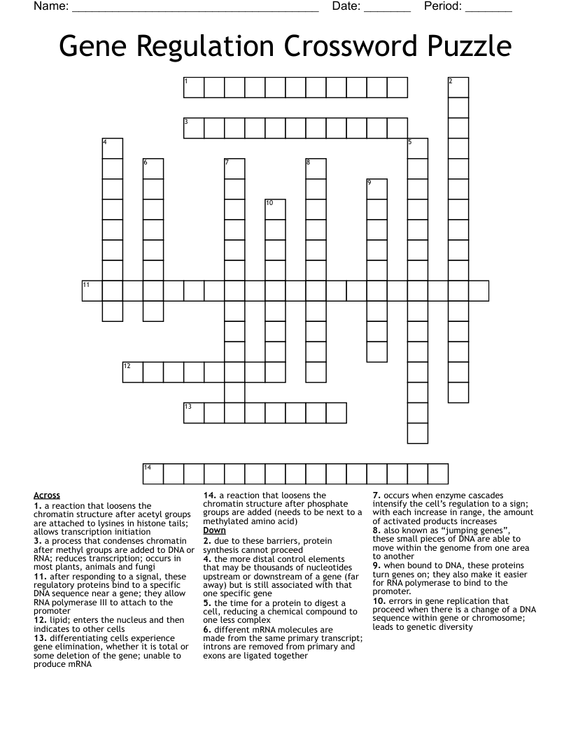 Gene Regulation Crossword Puzzle