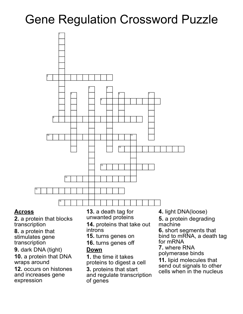 Gene Regulation Crossword Puzzle