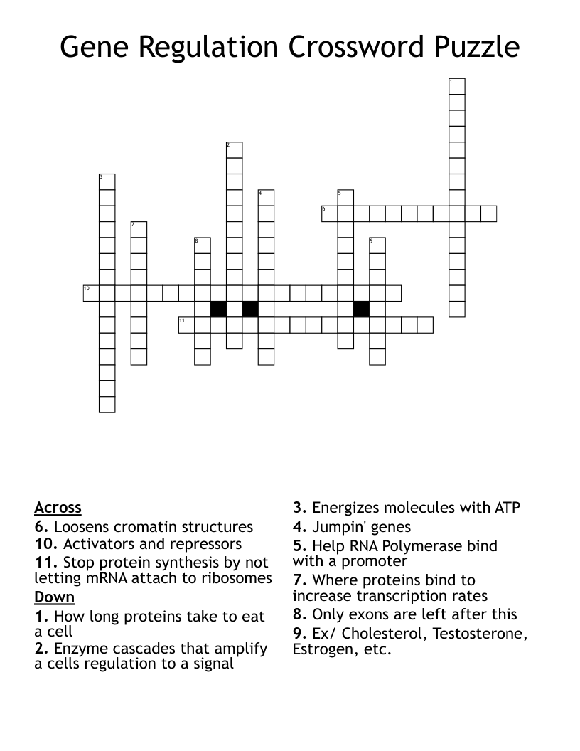 Gene Regulation Crossword Puzzle