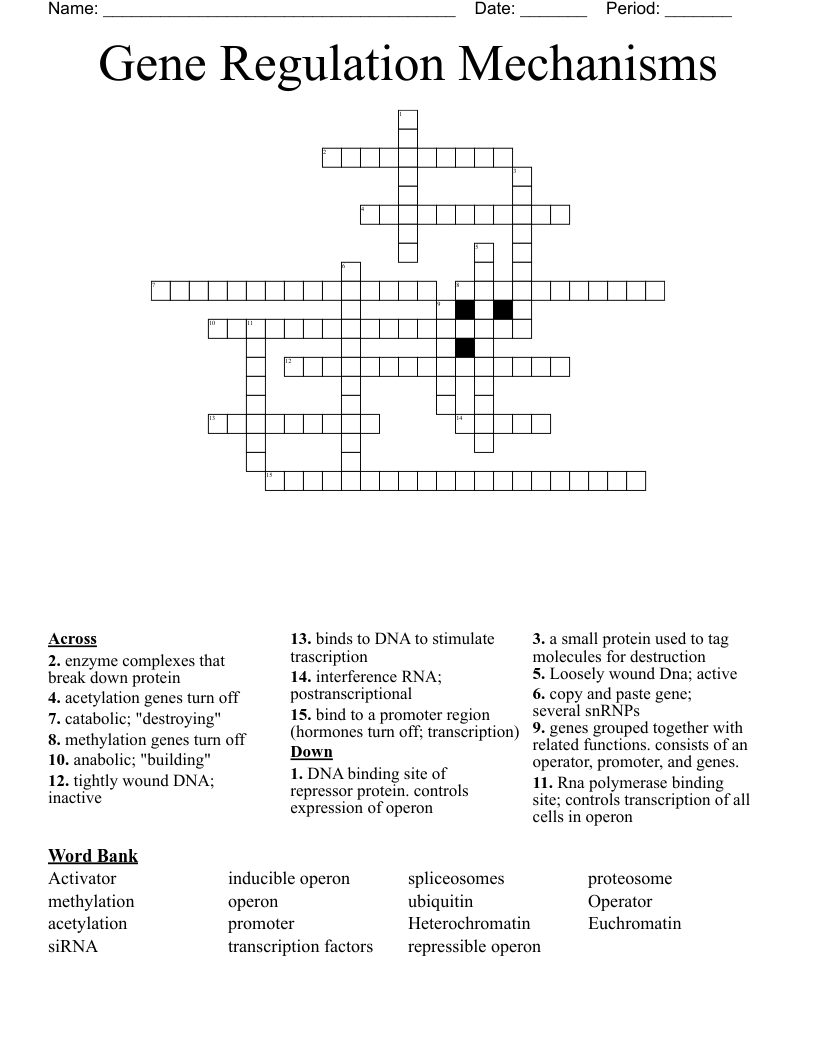 Gene Regulation Mechanisms Crossword