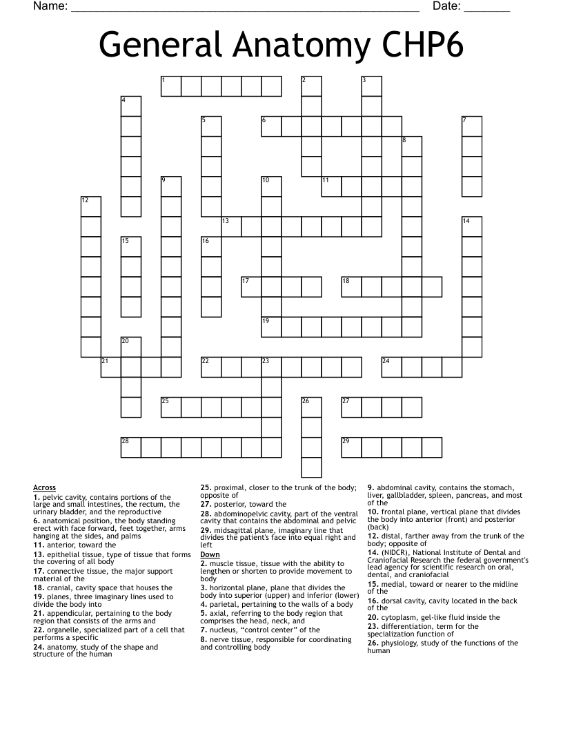 General Anatomy CHP6 Crossword