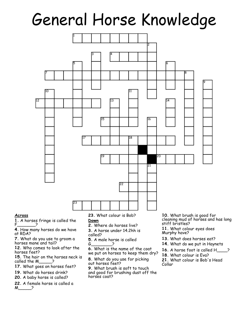 General Horse Knowledge Crossword