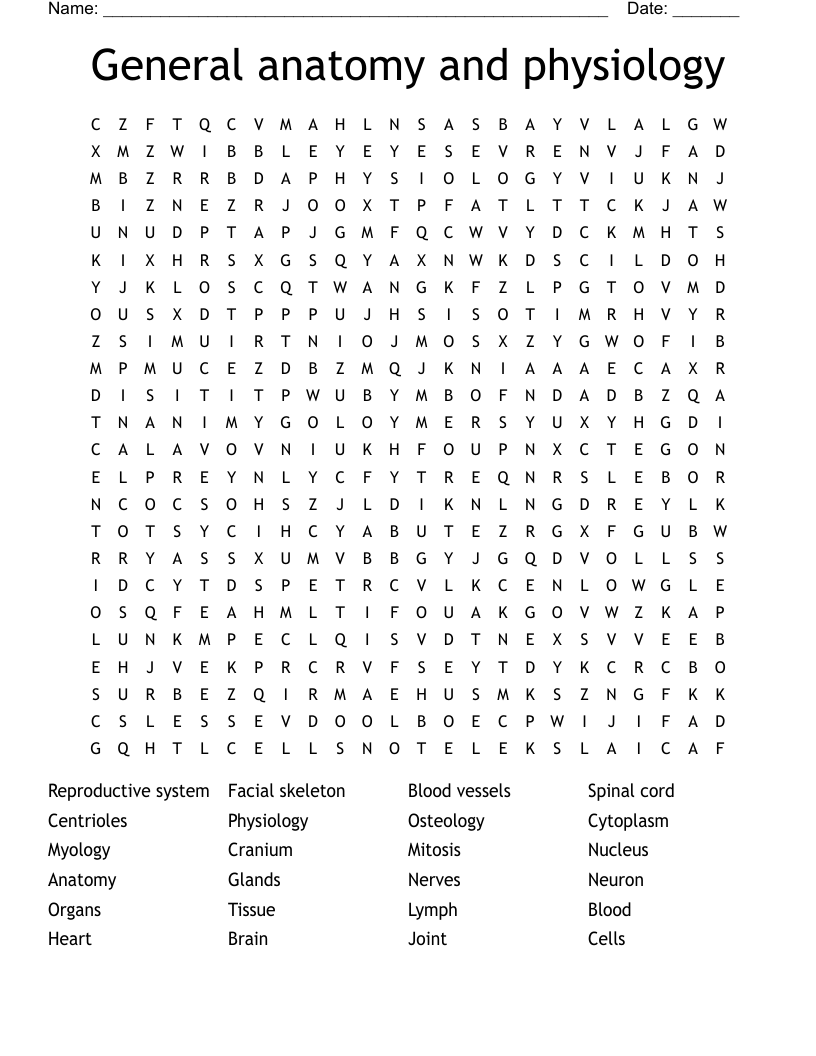 General anatomy and physiology  Word Search