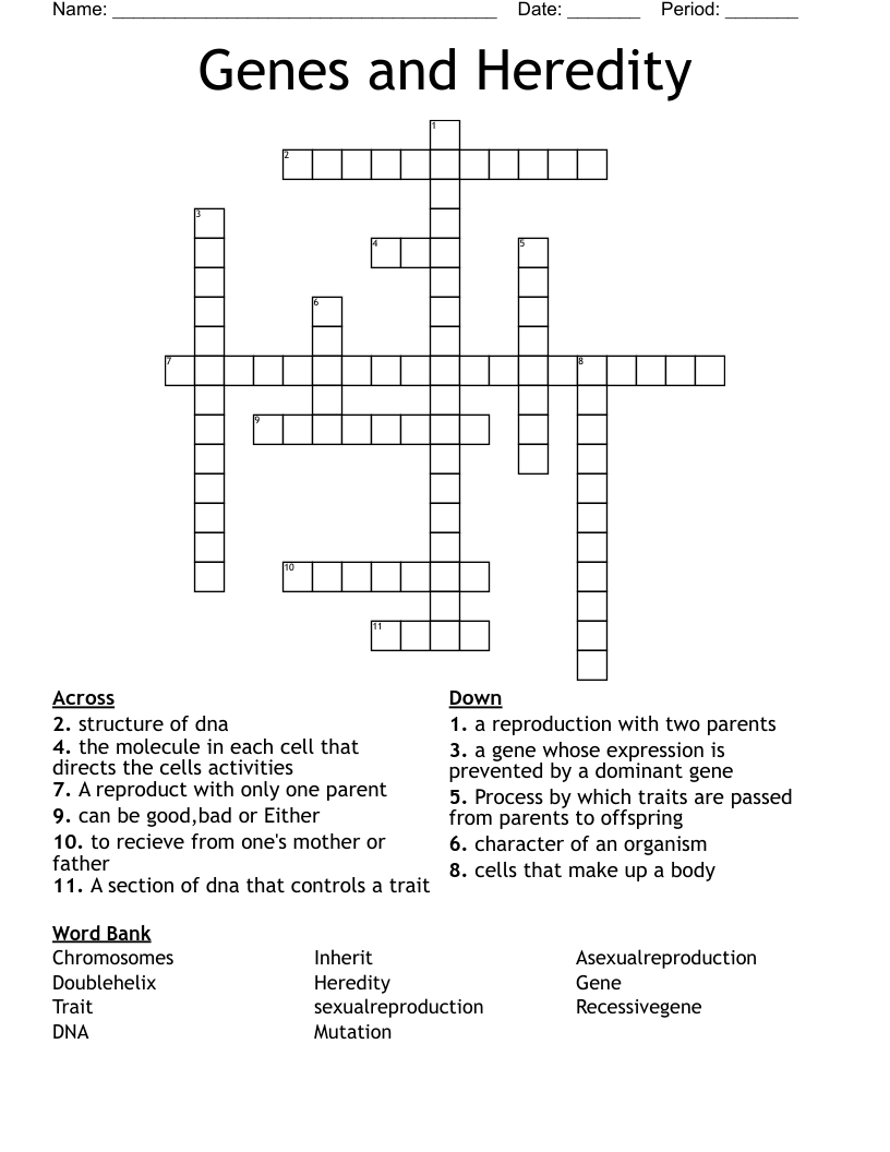 Genes and Heredity Crossword