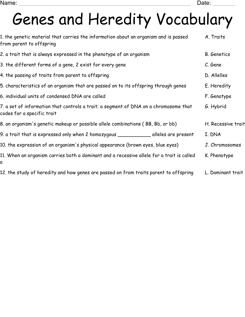 Genes and Heredity Vocabulary Worksheet