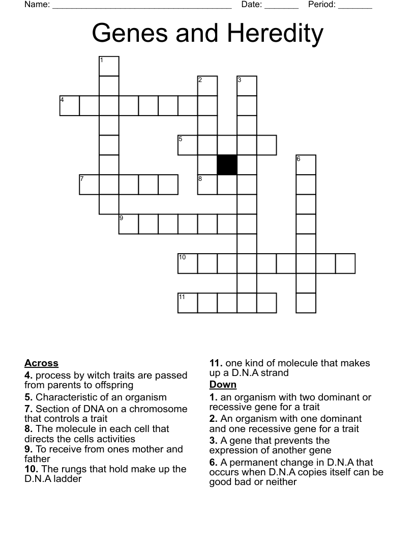 Genes and Heredity  Crossword