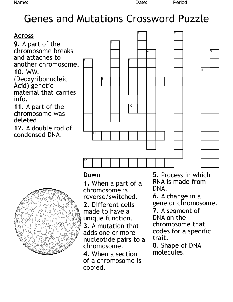 Genes and Mutations Crossword Puzzle