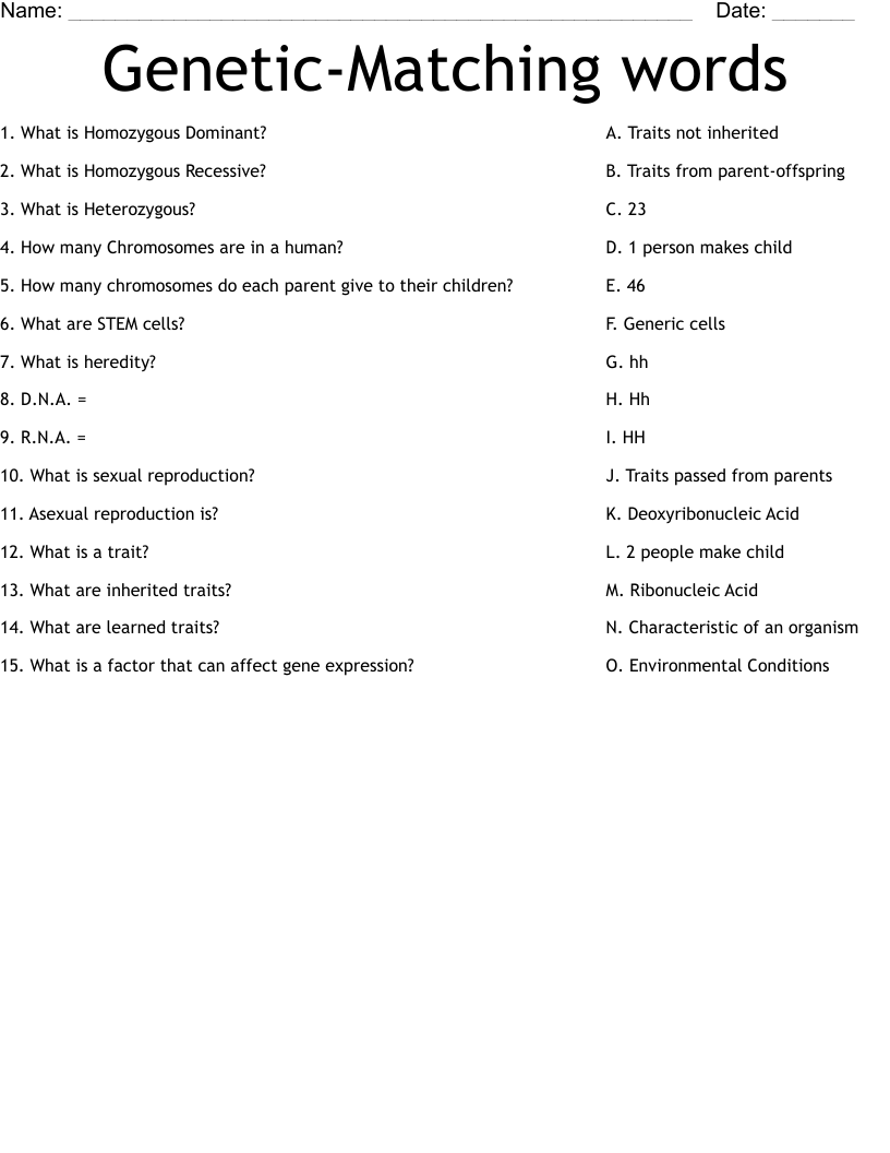 Genetic-Matching words Worksheet