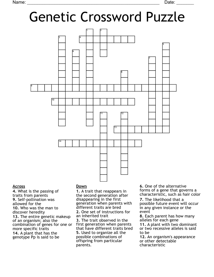 Genetic  Crossword Puzzle