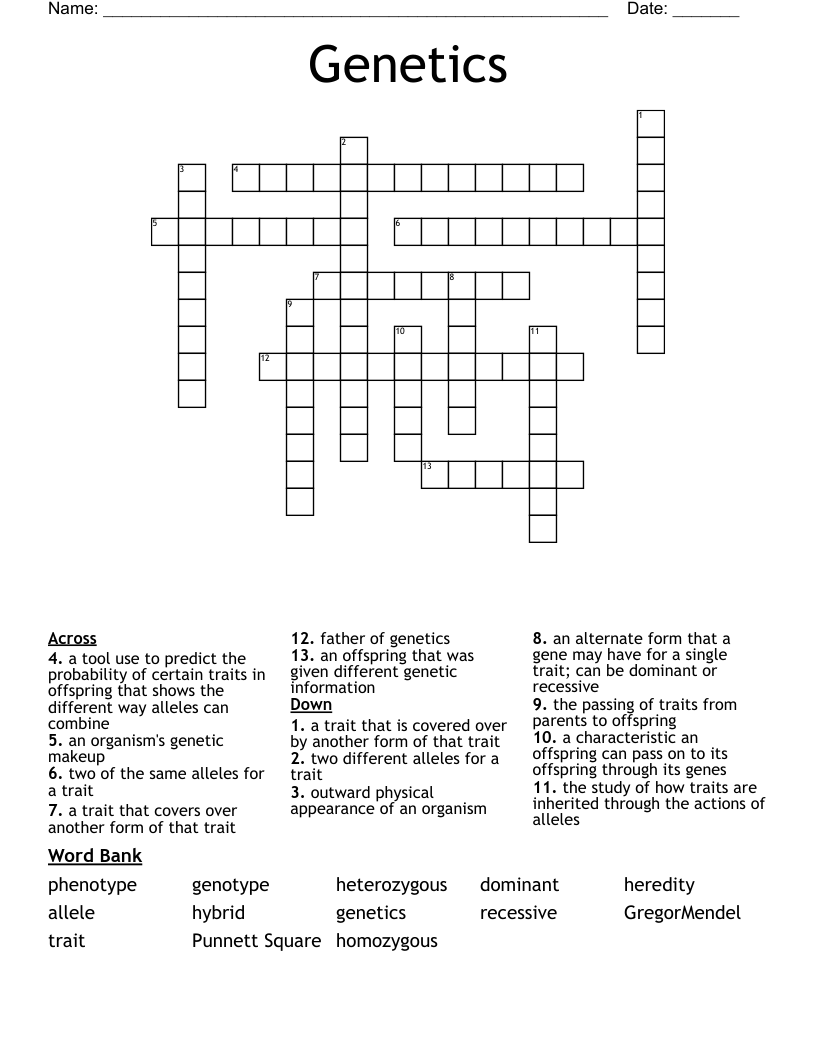 Genetics Crossword