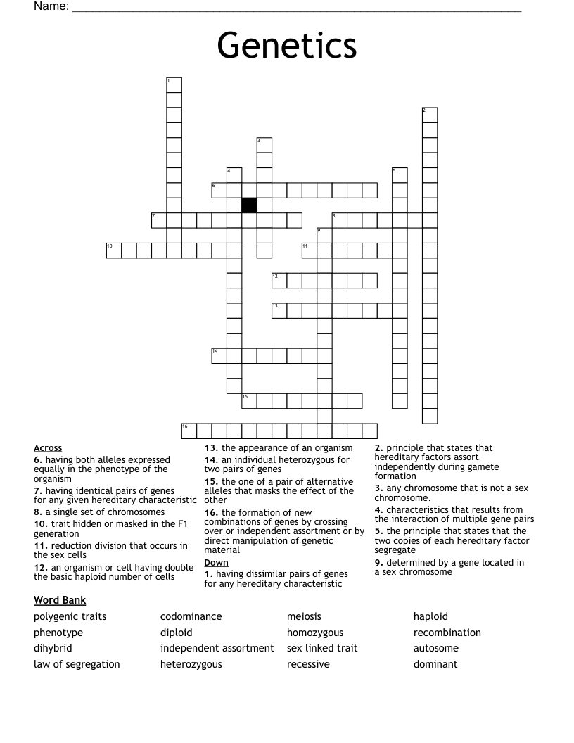 Genetics Crossword