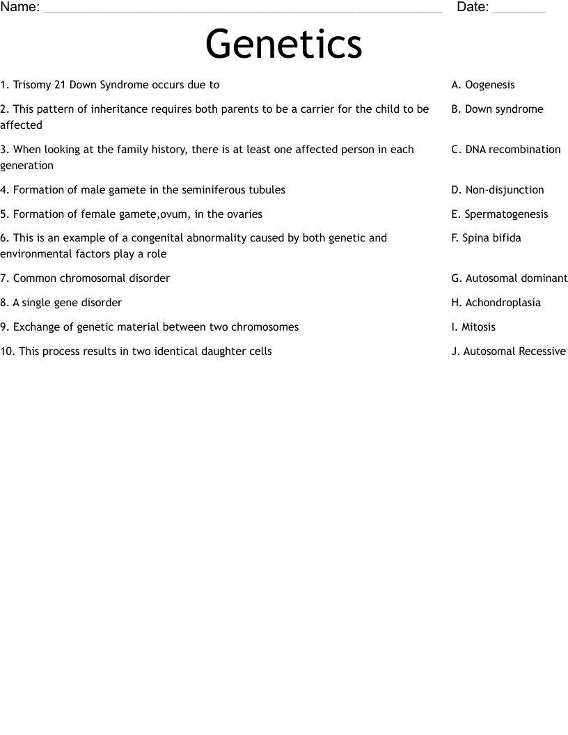 Genetics Worksheet