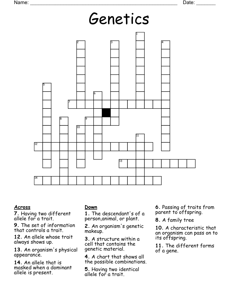 Genetics Crossword