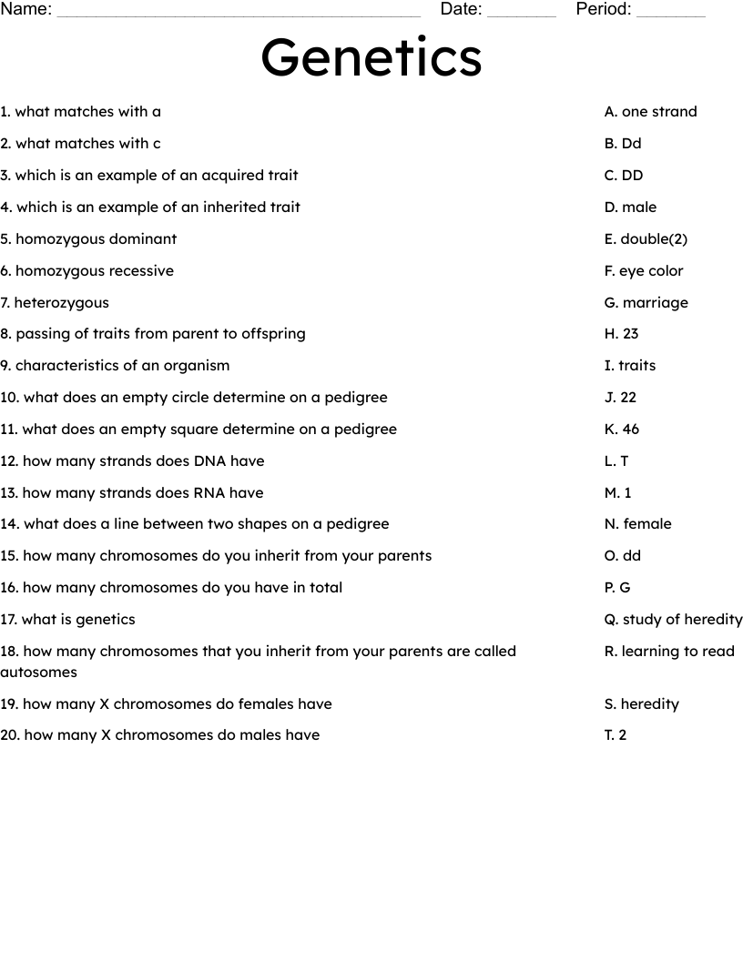 Genetics Worksheet
