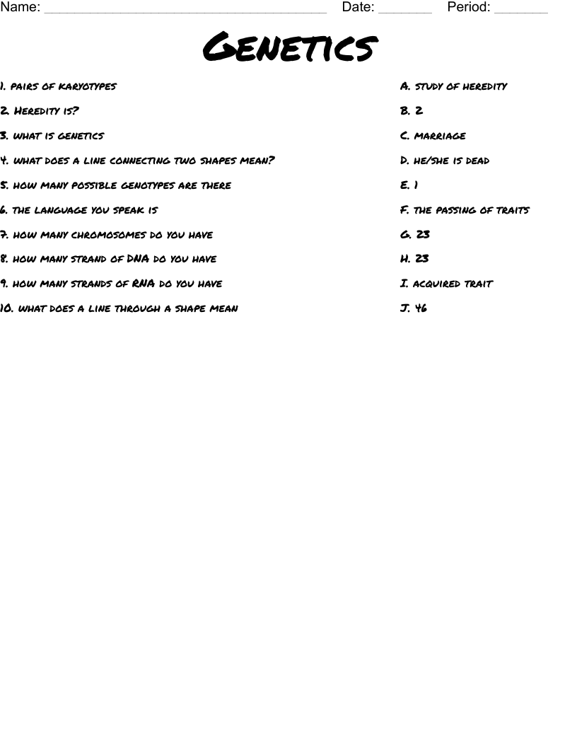 Genetics Worksheet