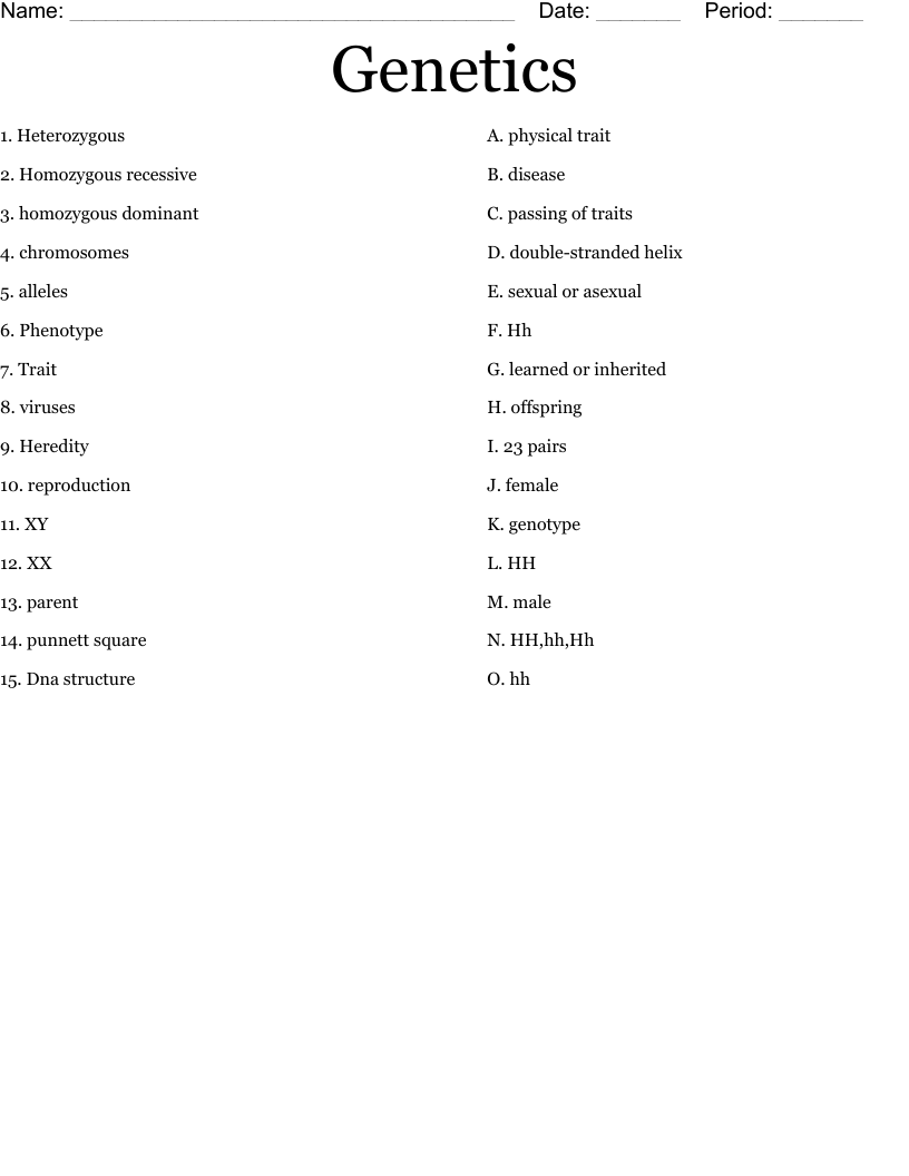 Genetics Worksheet