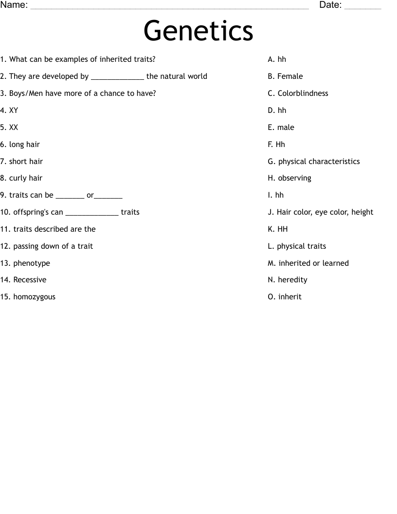 Genetics Worksheet
