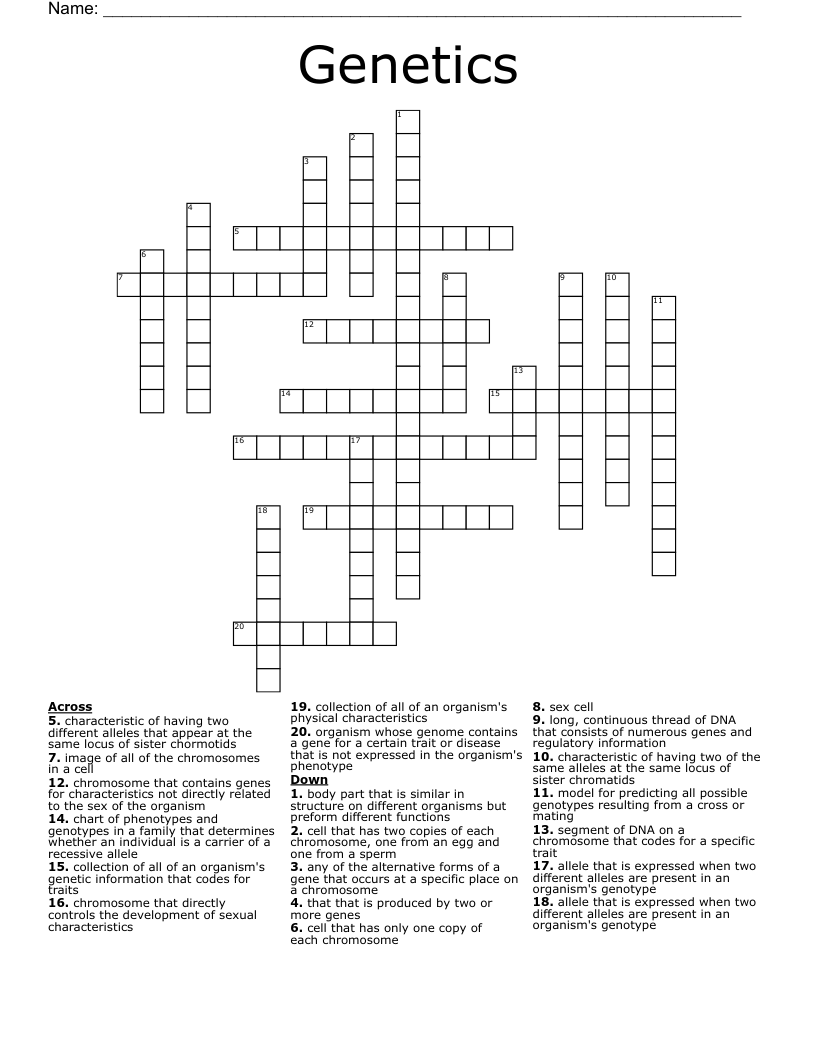 Genetics Crossword