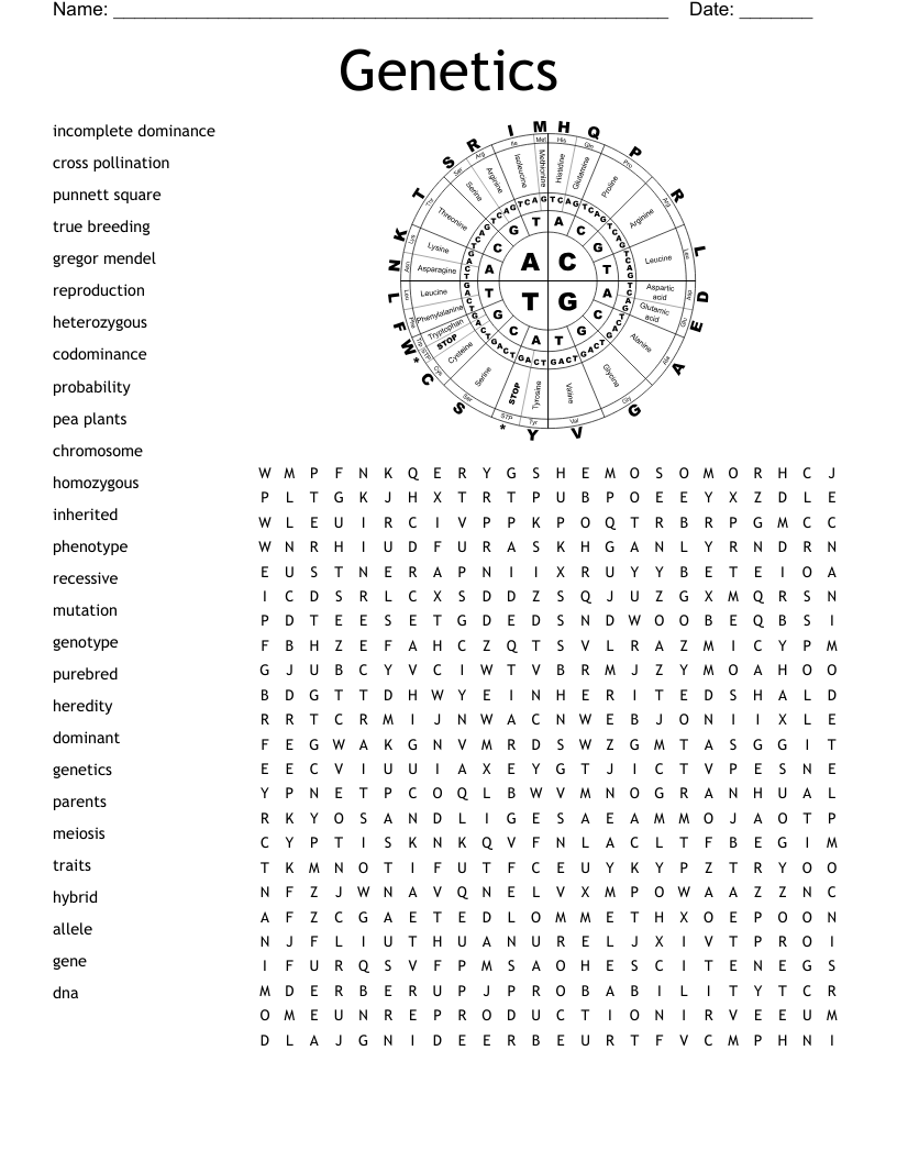 Genetics Word Search