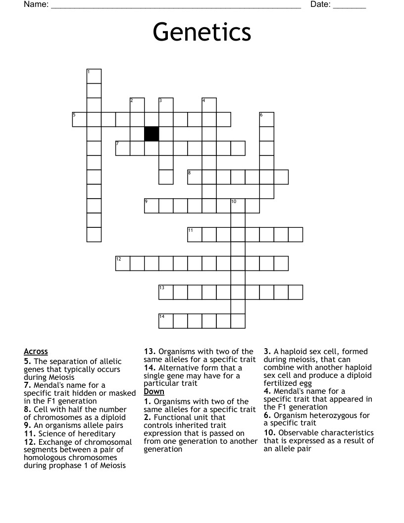 Genetics Crossword