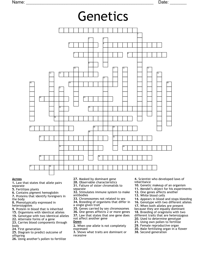 Genetics Crossword