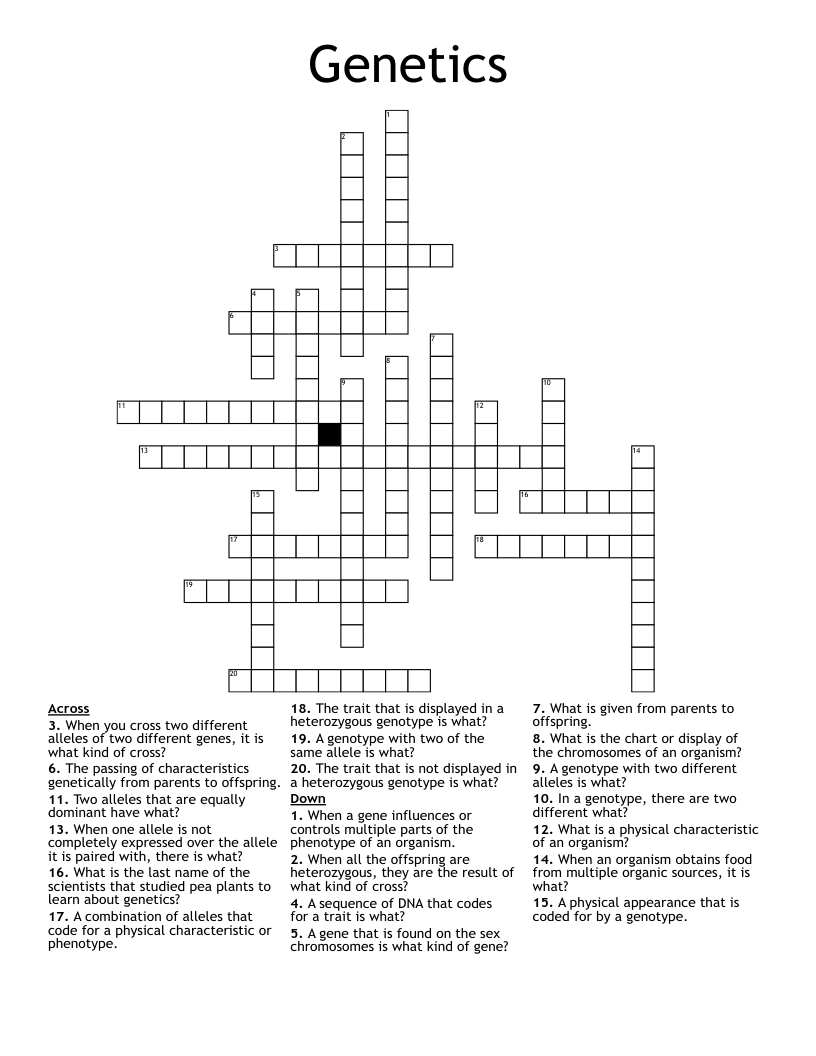 Genetics Crossword