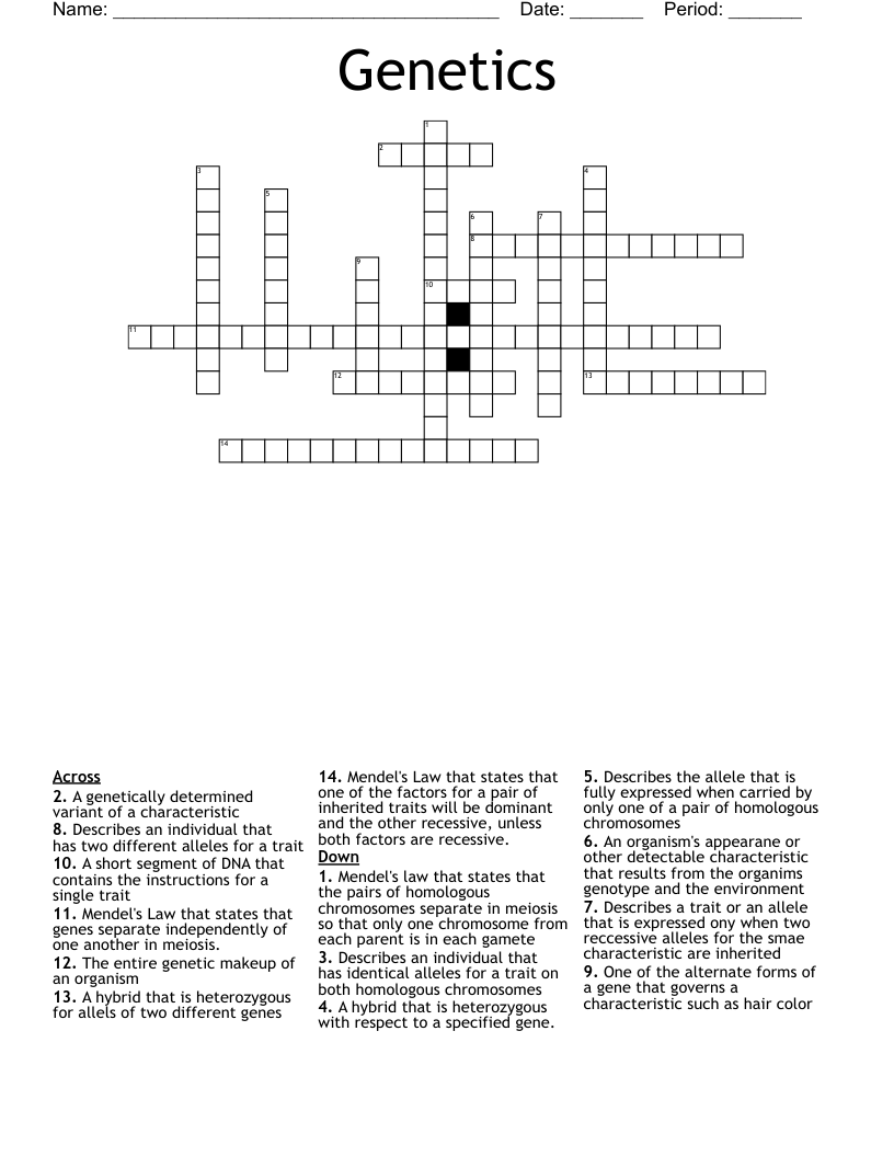 Genetics Crossword