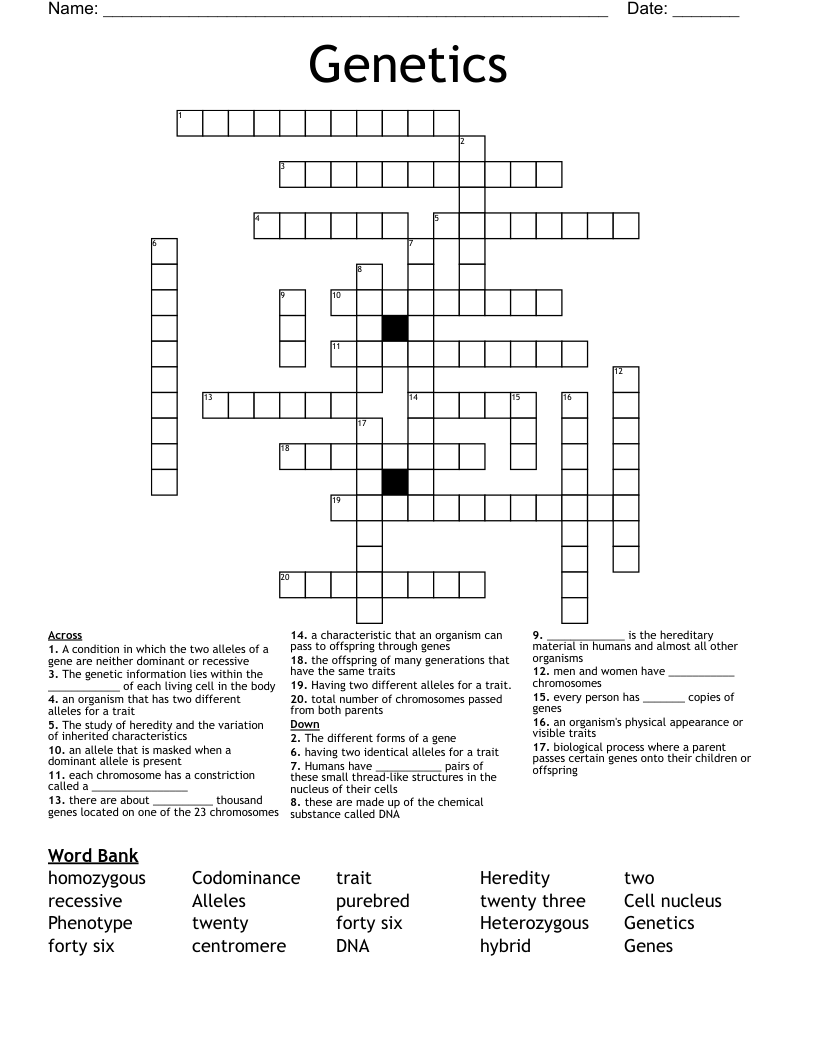 Genetics Crossword