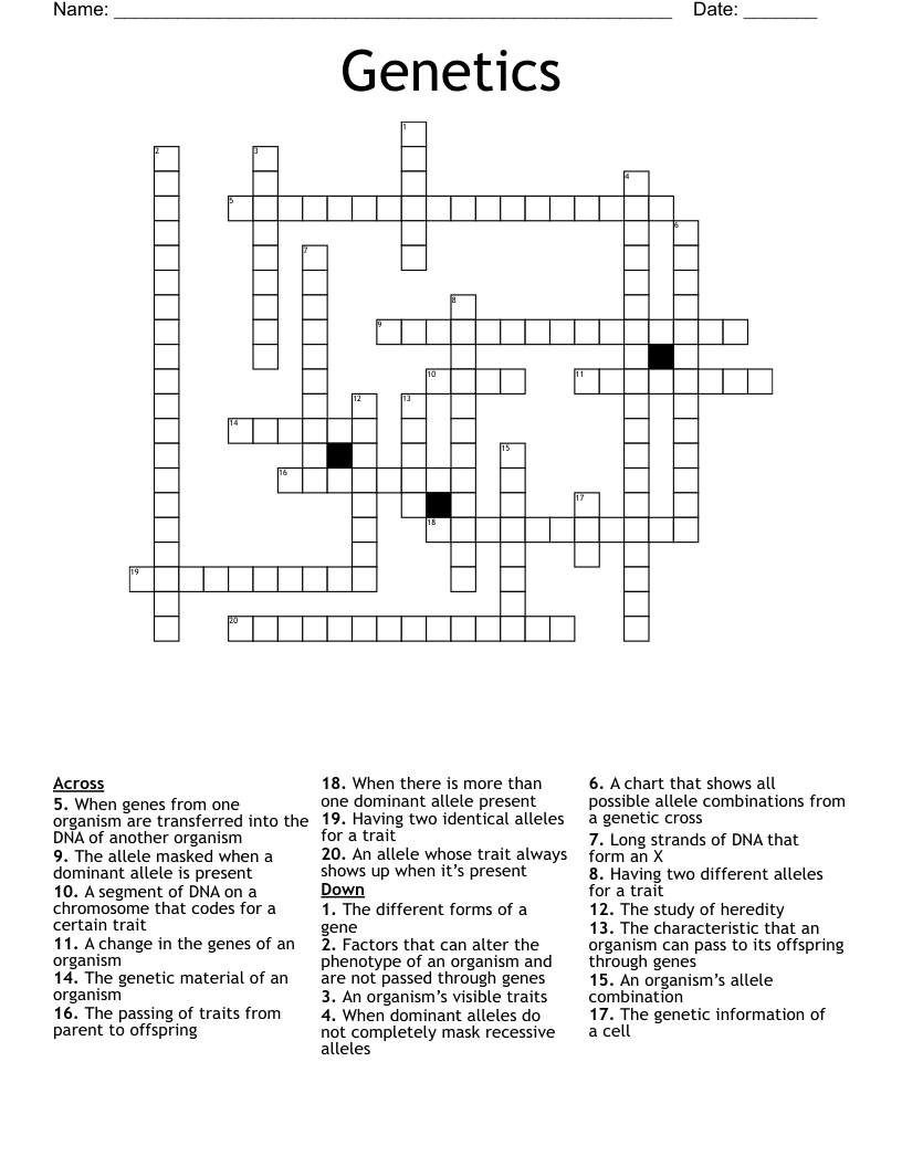 Genetics Crossword