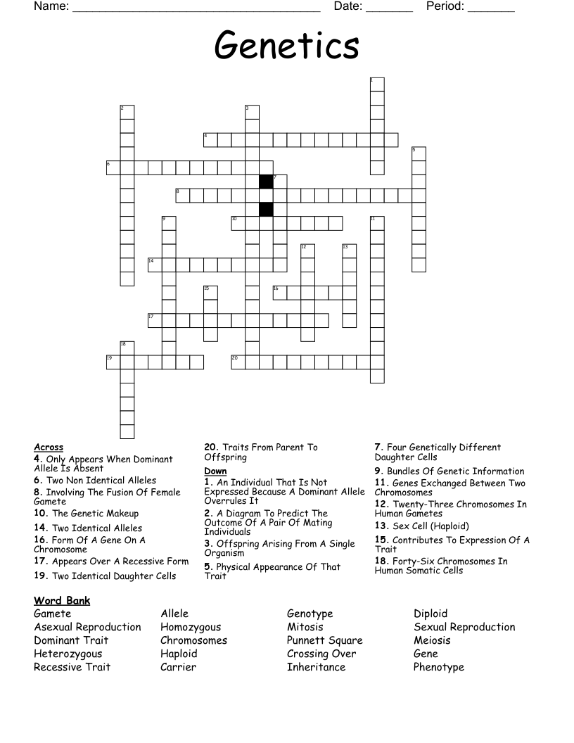 Genetics Crossword