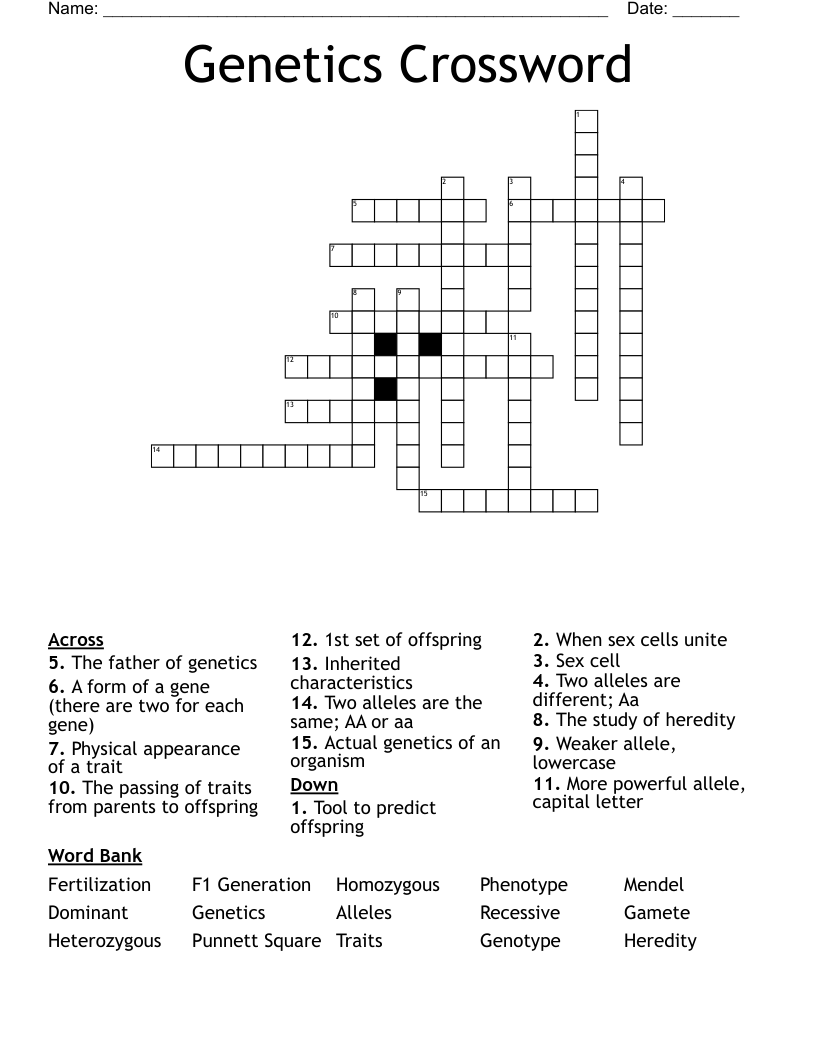 Genetics Crossword