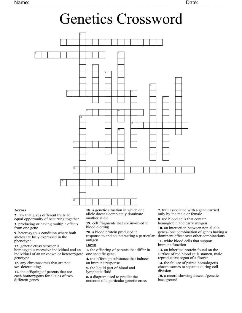 Genetics Crossword