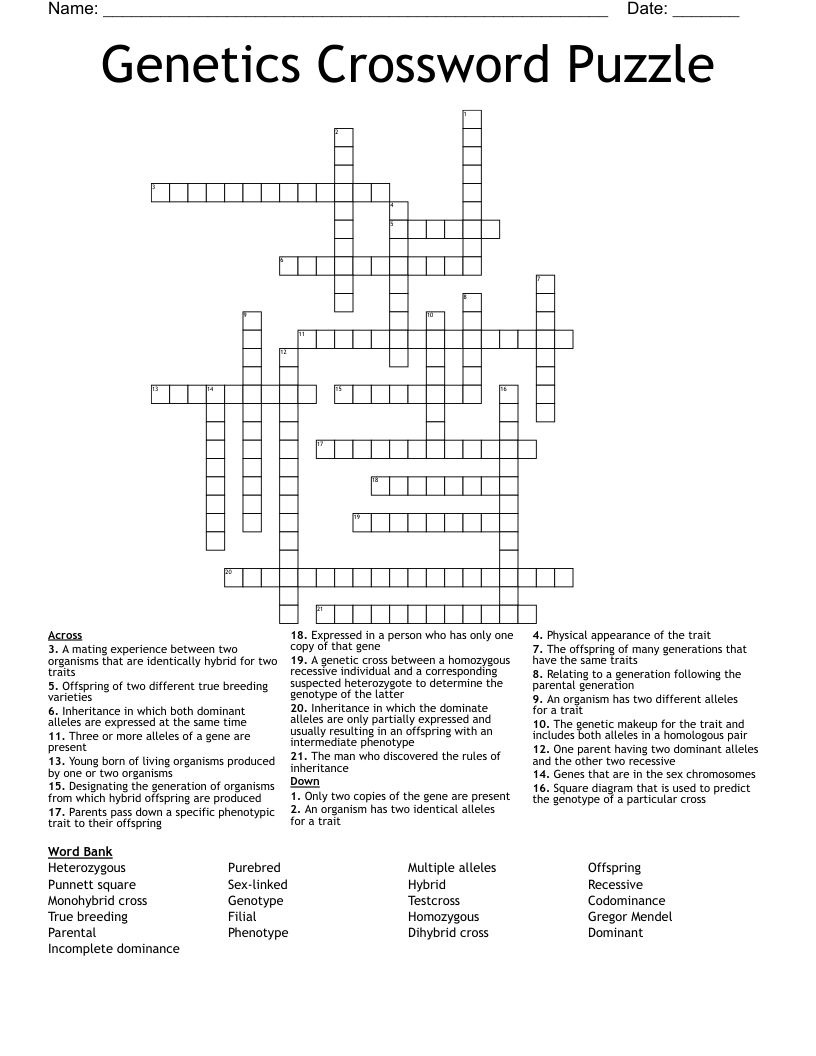 Genetics Crossword Puzzle