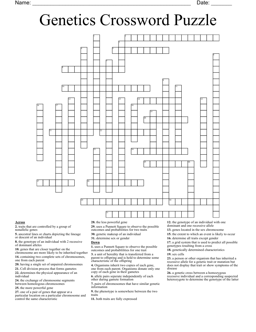 Genetics Crossword Puzzle