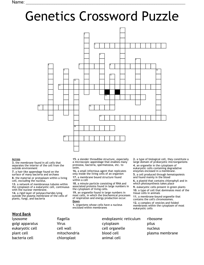 Genetics Crossword Puzzle