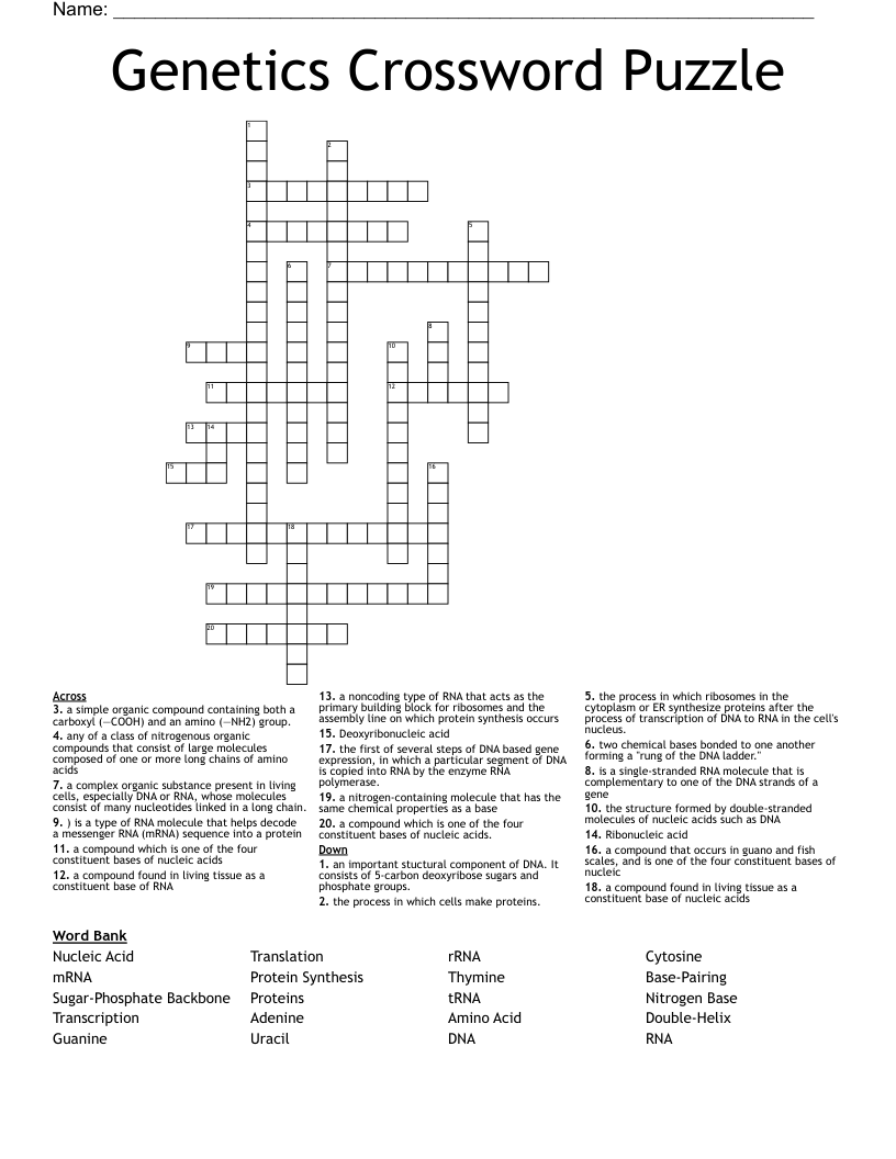 Genetics Crossword Puzzle