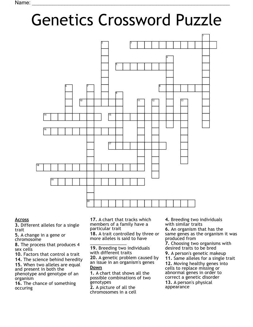 Genetics Crossword Puzzle