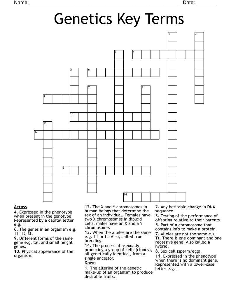 Genetics Key Terms Crossword