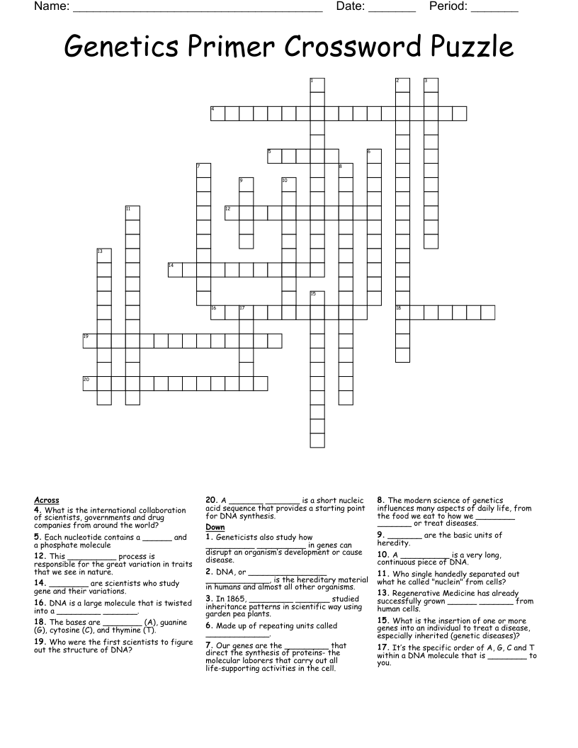 Genetics Primer Crossword Puzzle 