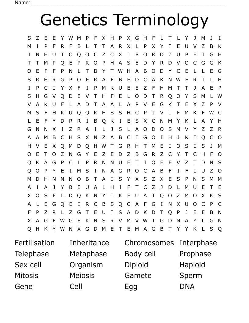 Genetics Terminology Word Search