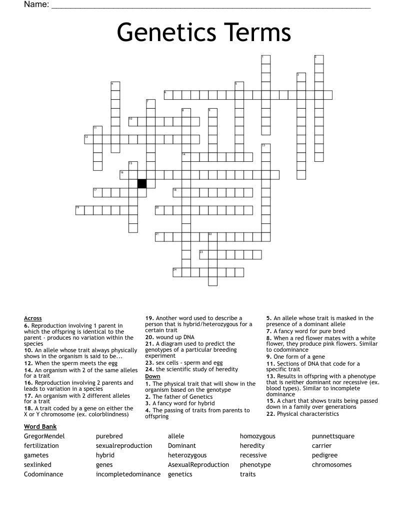 Genetics Terms Crossword