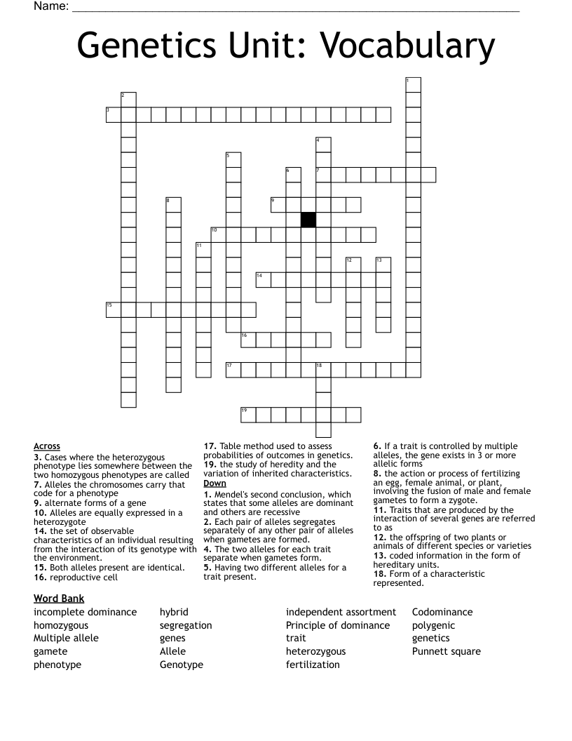 Genetics Unit: Vocabulary Crossword
