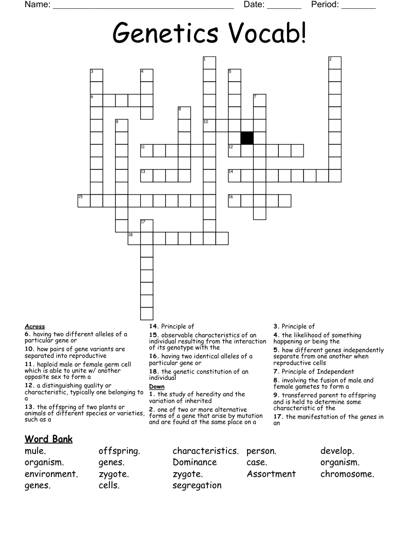Genetics Vocab! Crossword