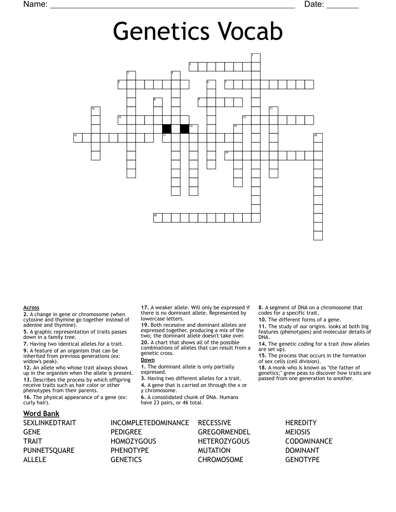 Genetics Vocab Crossword