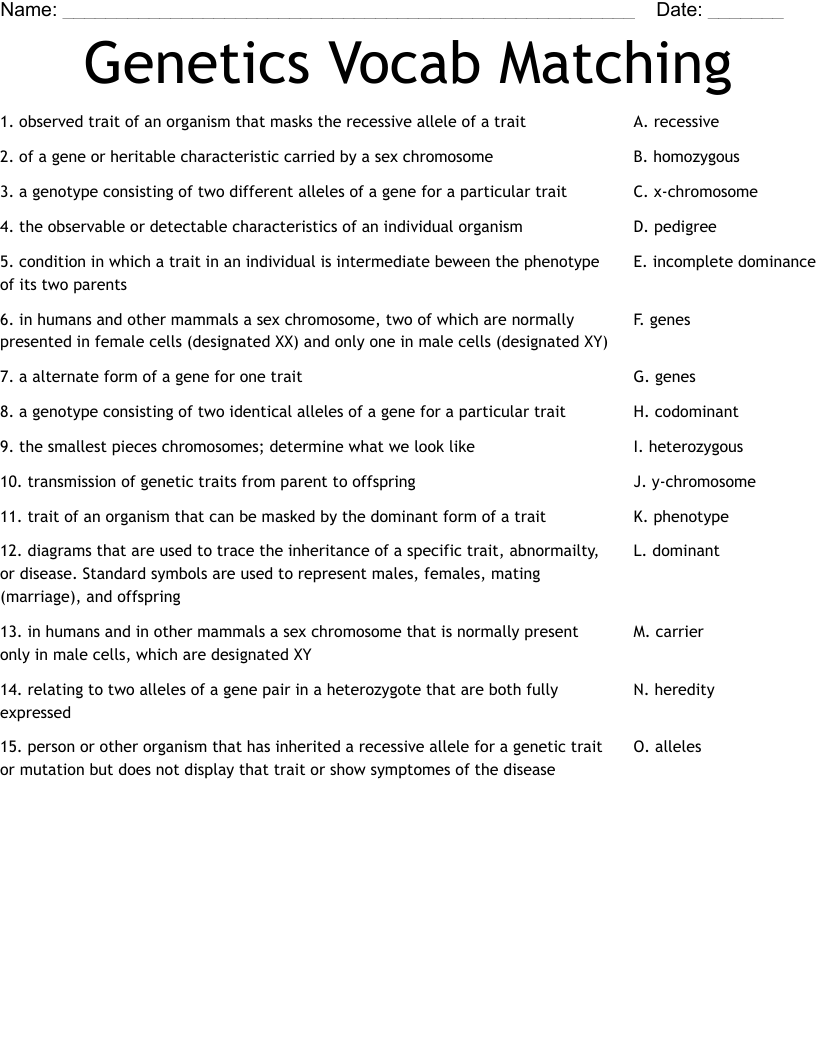 Genetics Vocab Matching Worksheet